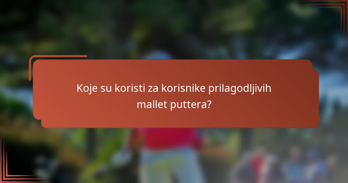 Koje su koristi za korisnike prilagodljivih mallet puttera?