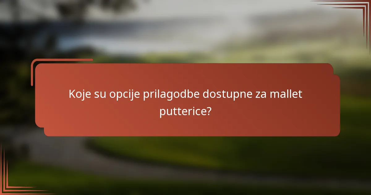 Koje su opcije prilagodbe dostupne za mallet putterice?