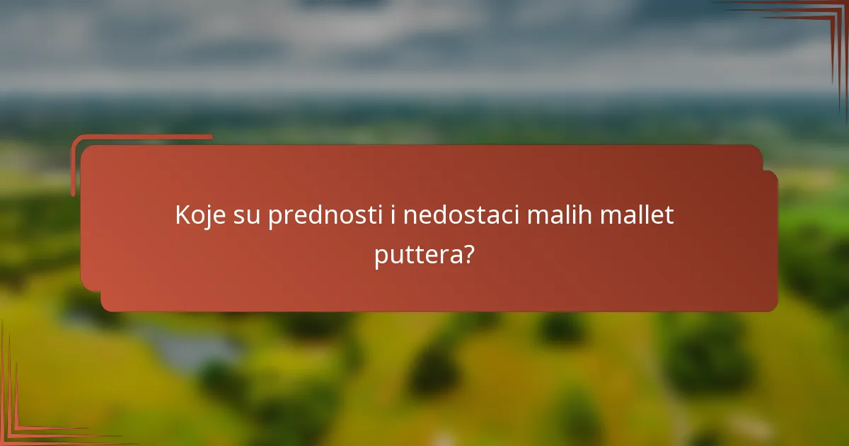 Koje su prednosti i nedostaci malih mallet puttera?