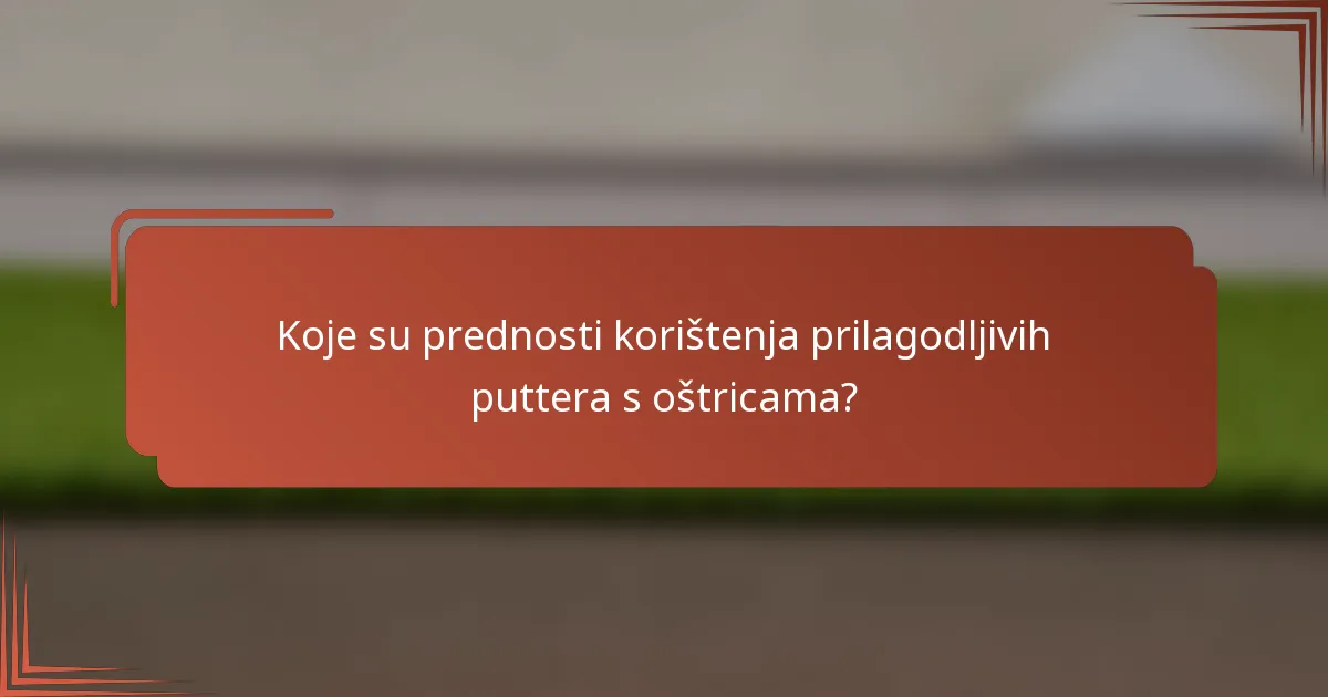 Koje su prednosti korištenja prilagodljivih puttera s oštricama?