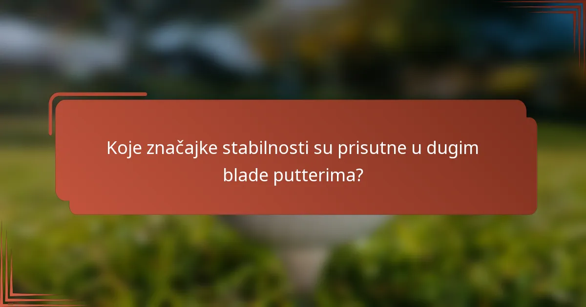 Koje značajke stabilnosti su prisutne u dugim blade putterima?