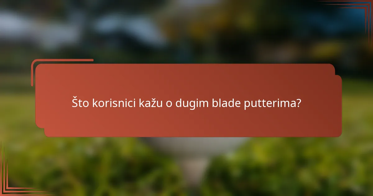 Što korisnici kažu o dugim blade putterima?